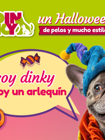 Términos y Condiciones: Concurso Halloween de pelos