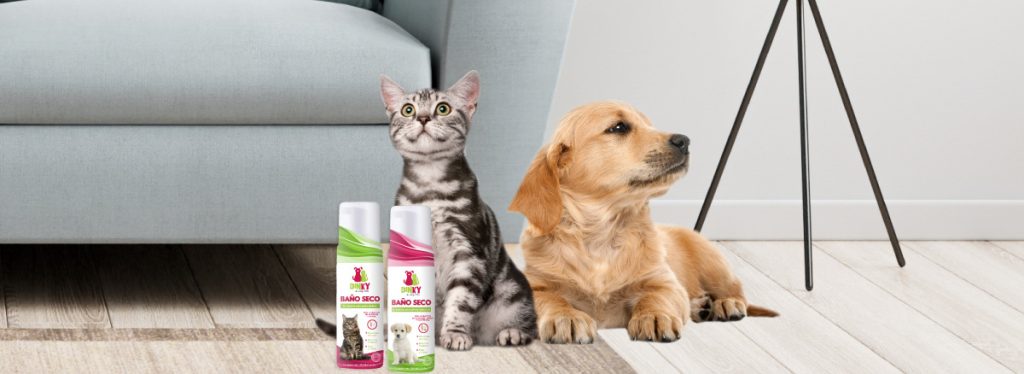 Beneficios de los baños secos Dinky para gatos y perros