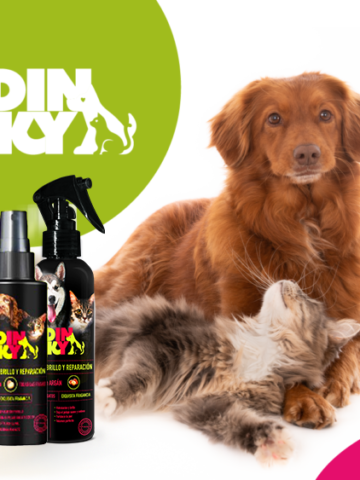 Diferencias entre el spray con Keratina Dinky y el Spray con Argán