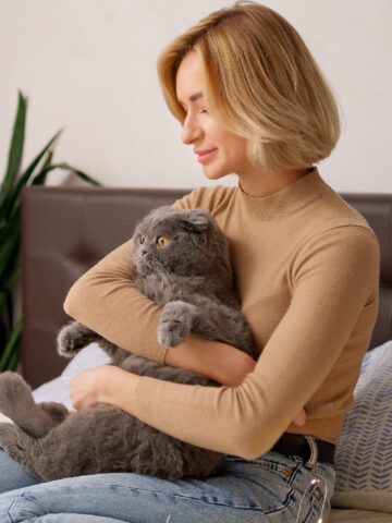 Cómo cuidar el embarazo de tu gatita