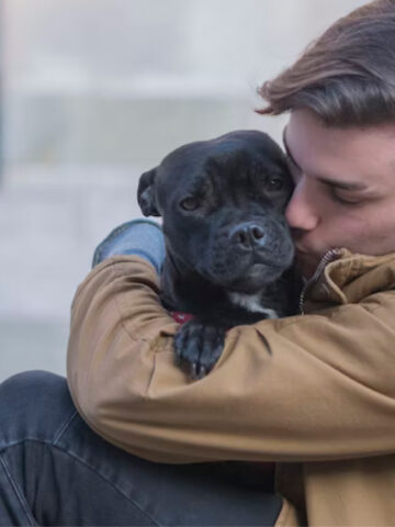 Por qué los perros lloran cuando ven a sus dueños