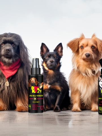 Beneficios de nuestro Spray para peinar con Keratina para todas las razas de perro