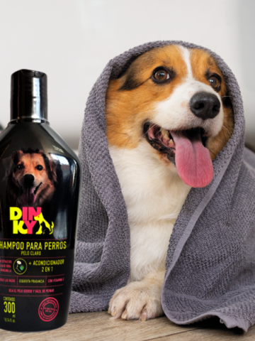 Cuidados estéticos y de aseo para mantener a tu perro saludable y feliz