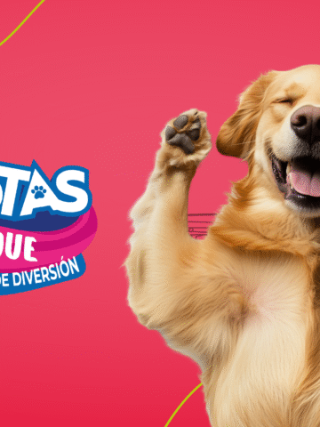 Dinky brilló en el Festival de Mascotas en Mundo Aventura 2025